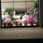 image2 (7)