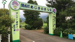 癒し